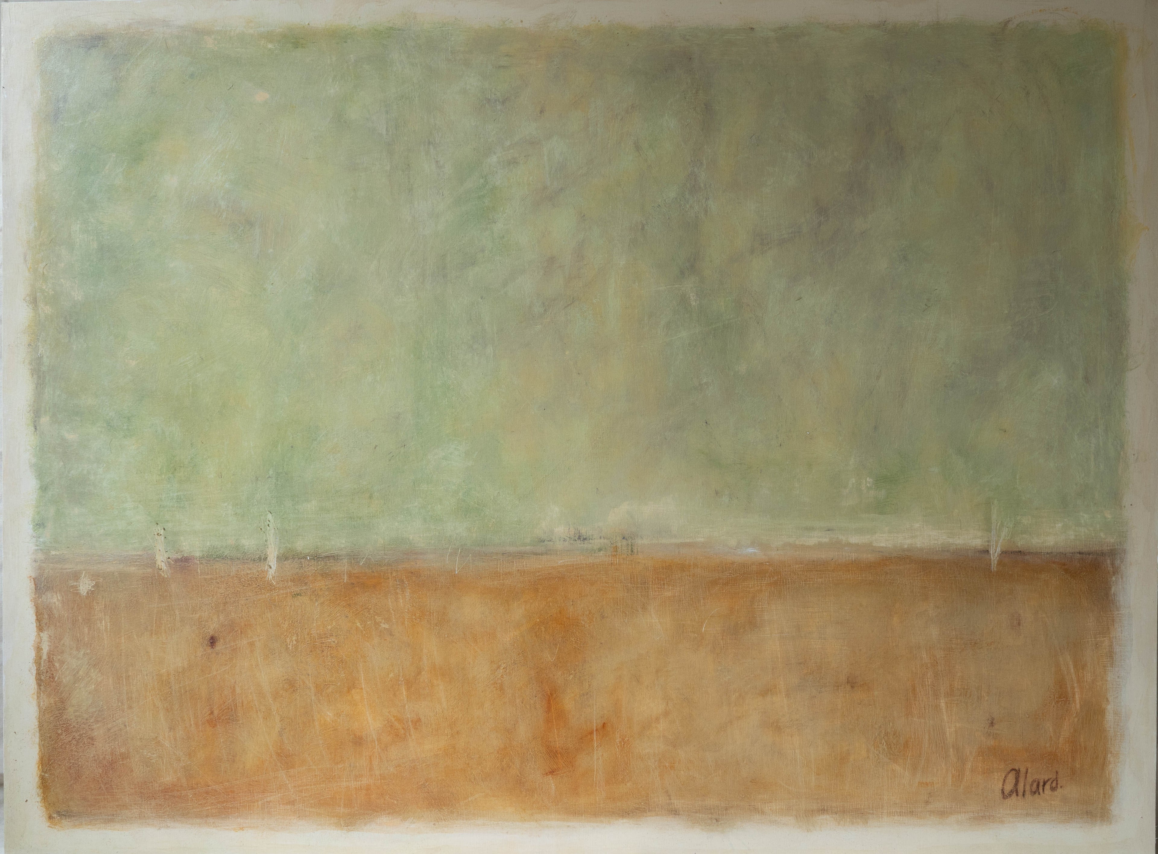 Morning in birchwoods